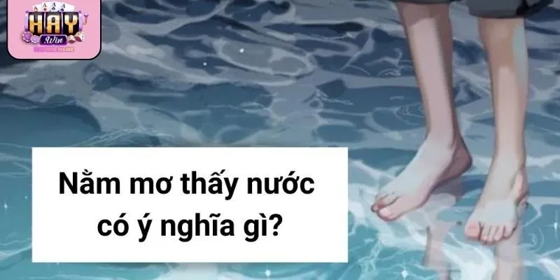 Giải mã nằm mơ thấy nước theo từng lĩnh vực giúp dự đoán chính xác