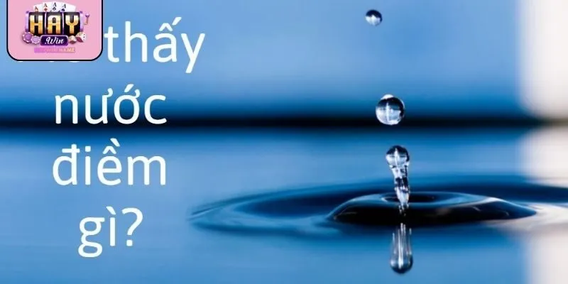 Giấc mơ nước mang đến các con số may mắn