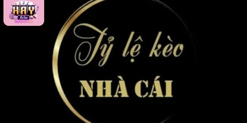 Sử dụng dữ liệu kèo để đưa ra quyết định đặt cược chính xác