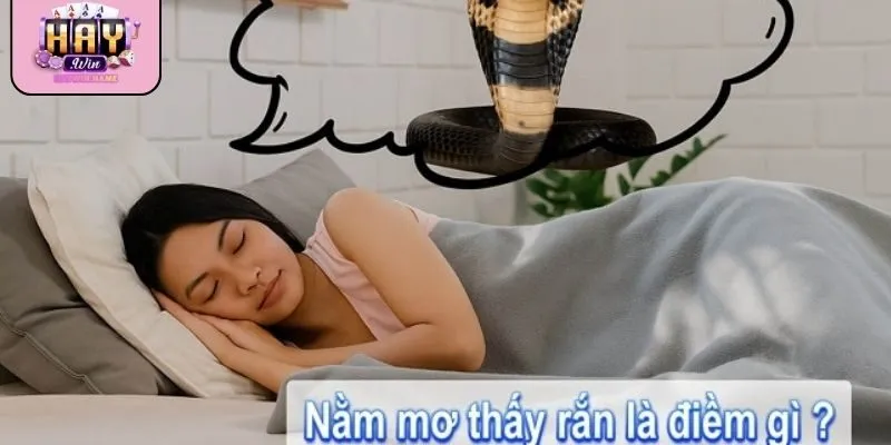Nằm mơ thấy rắn theo từng lĩnh vực giúp hiểu rõ thông điệp