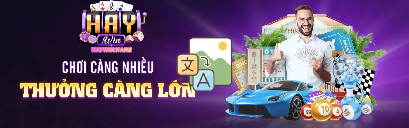 banner haywin